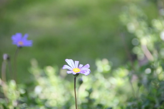 Capetown, South Africa